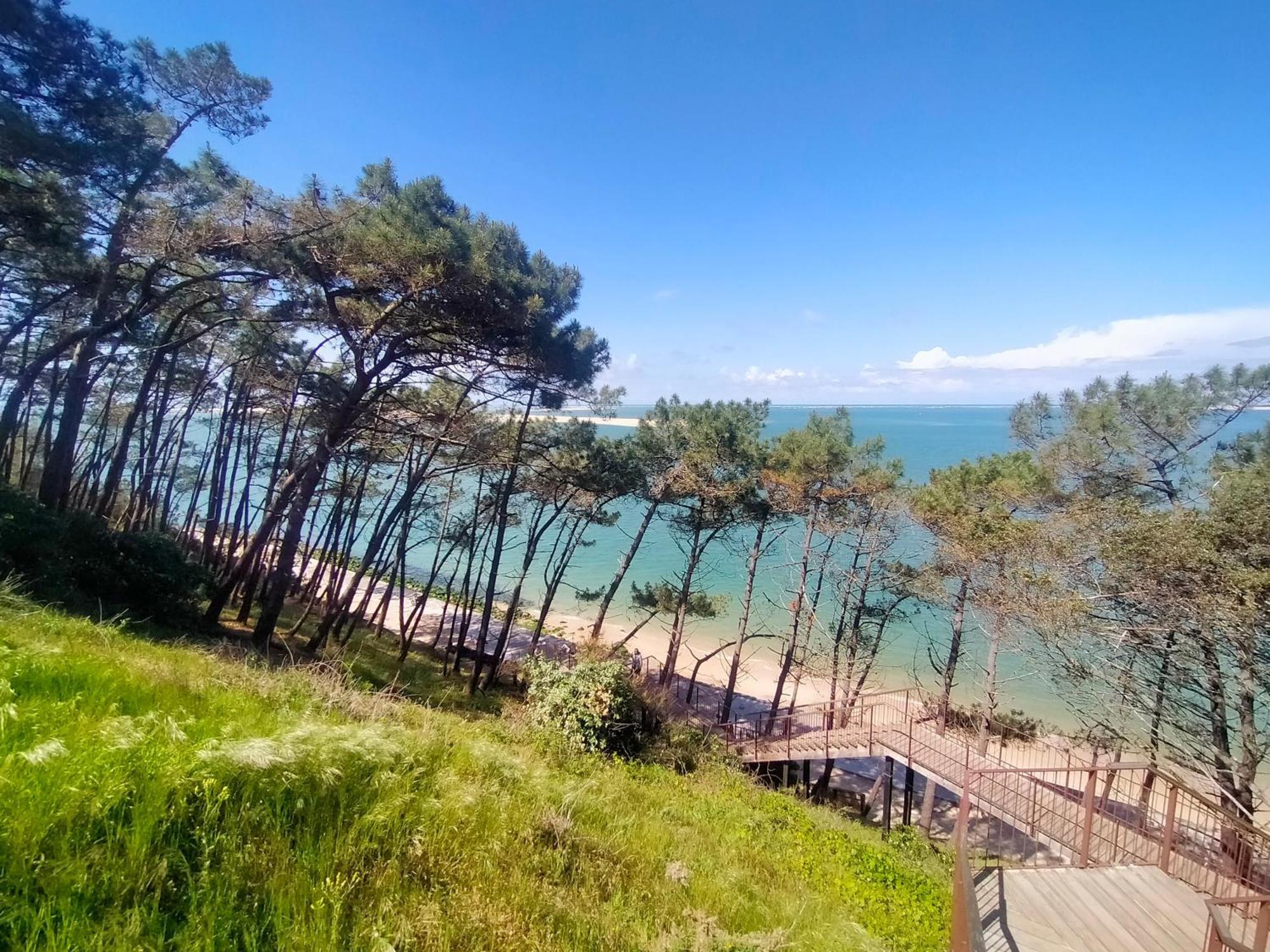 Gite Avec Piscine Et Espace Bien-Etre Partages Entre Bordeaux Et Lacanau Ocean (Adults Only) Brach Zewnętrze zdjęcie
